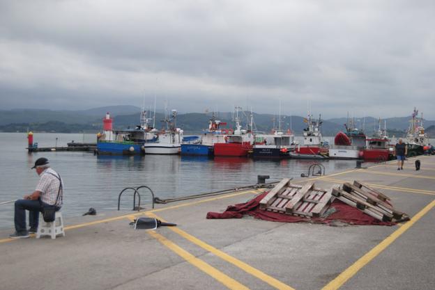 Obras Públicas construirá un nuevo pantalán en el puerto de Santoña