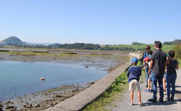 Santoña celebra el XII Festival de la Migración de las Aves
