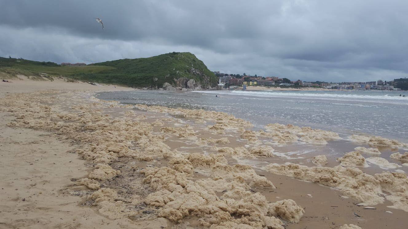 Las formaciones ecologistas de Cantabria piden el cese de Palacio por el «alarmante retroceso en la gestión de los residuos»