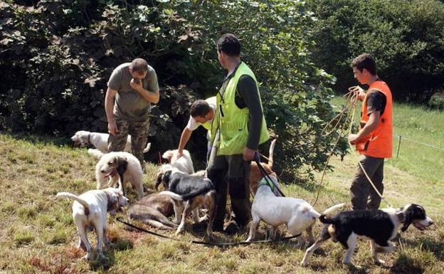 Medio Rural autoriza aguardos de jabalíes en el Parque Natural de Santoña y Ribamontán al Mar