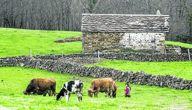 Vega de Pas, San Pedro y Selaya dan un paso atrás en el proceso para ser Reserva de la Biosfera