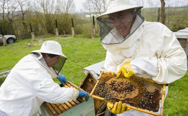 Los apicultores piden ayuda tras una cosecha de miel «catastrófica» por el mal tiempo