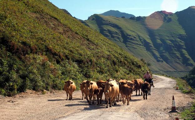 La candidatura a Reserva de la Biosfera de los Valles Pasiegos se abre a municipios burgaleses