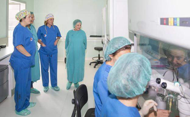 El 8% de las pacientes de reproducción asistida son homosexuales o sin pareja