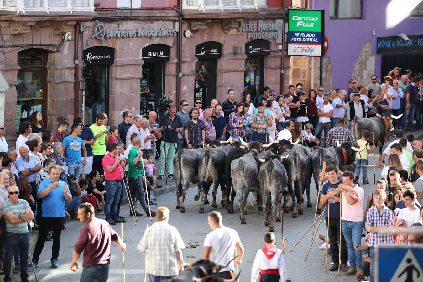 Olimpiada Tudanca en Cabezón de la Sal