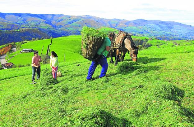 Los valles altos pasiegos pierden un 2% de su población cada año