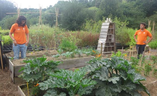 La Fundación Naturaleza y Hombre ofrecerá varios talleres de artesanía y ecología
