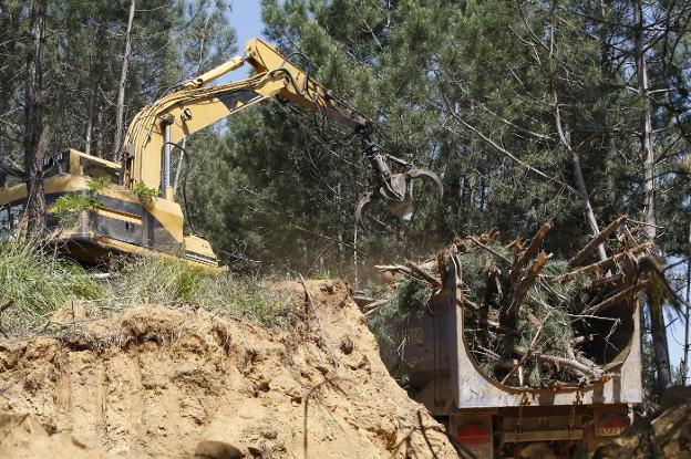 Un estudio dice que la contaminación en el suelo impide construir el campo de golf