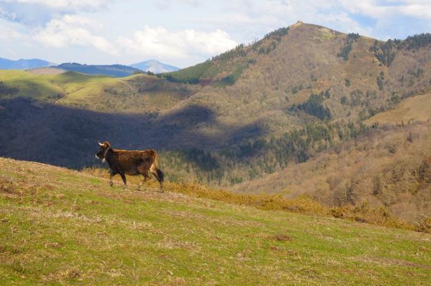 Monte Tejea, el tesoro del Valle de Villaverde