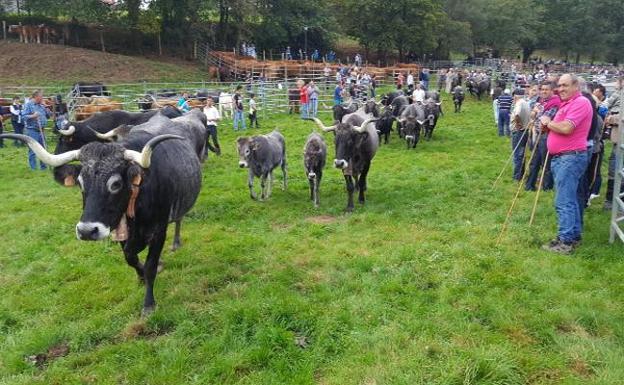 Las Ferias de Año vuelven a Los Corrales de Buelna