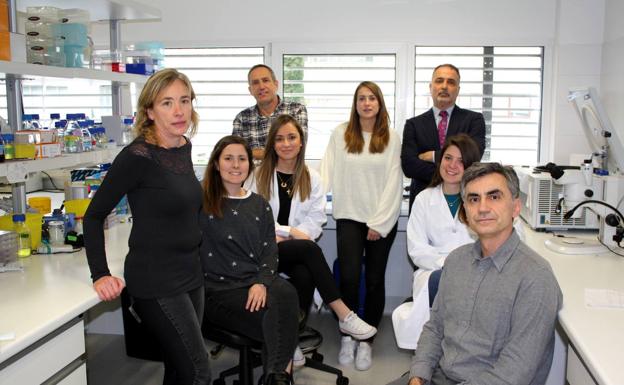 El Idival abre la puerta a la búsqueda de dianas comunes en el cáncer epidermoide