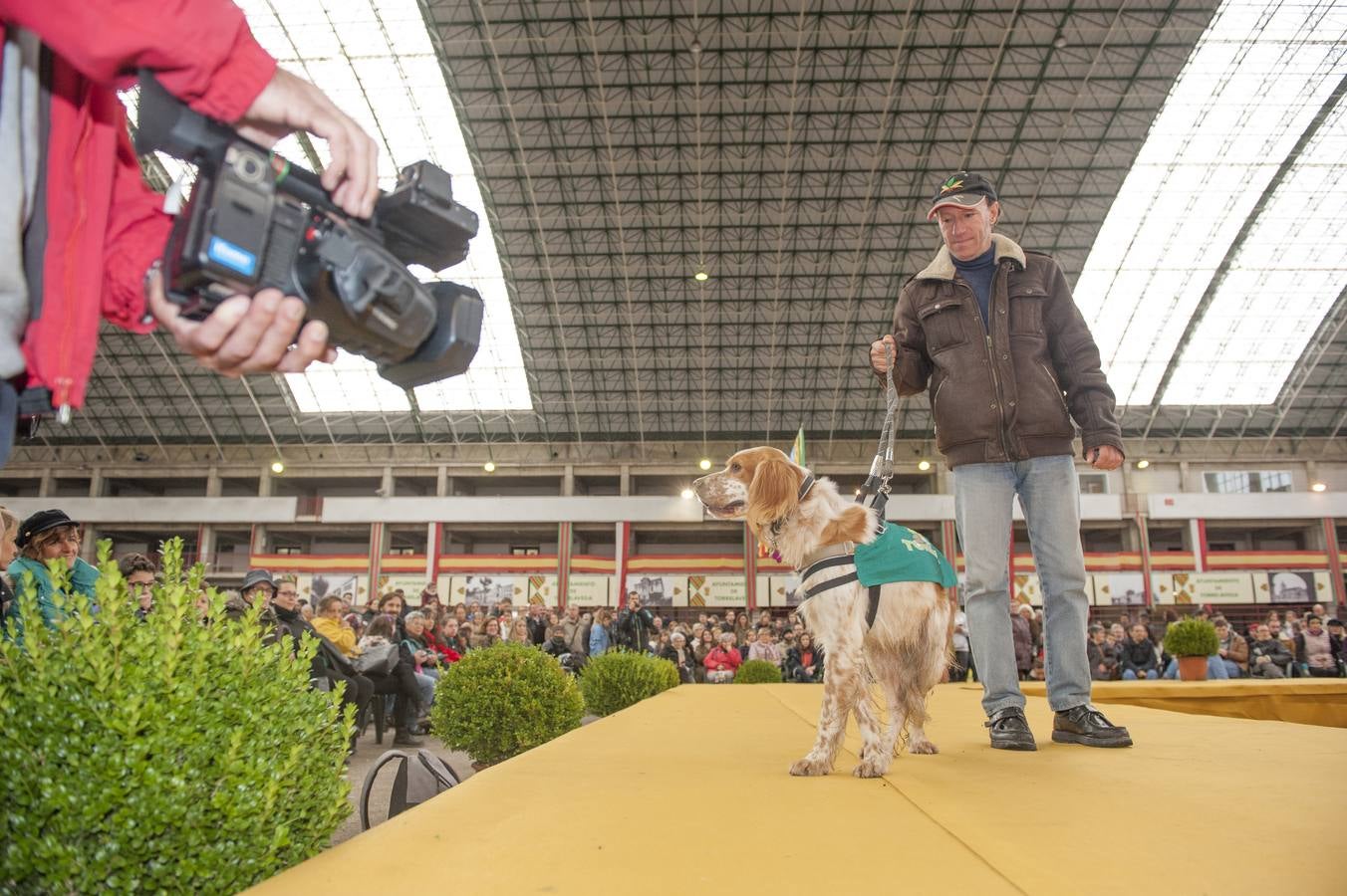 Feria de Adopción Responsable 'Ciudad de Torrelavega'