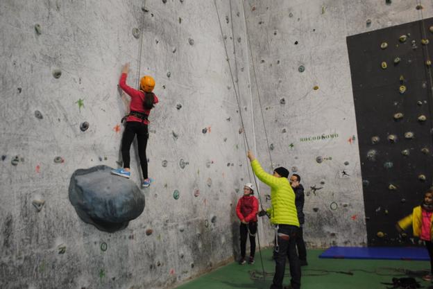 Los proyectos de los reinosanos