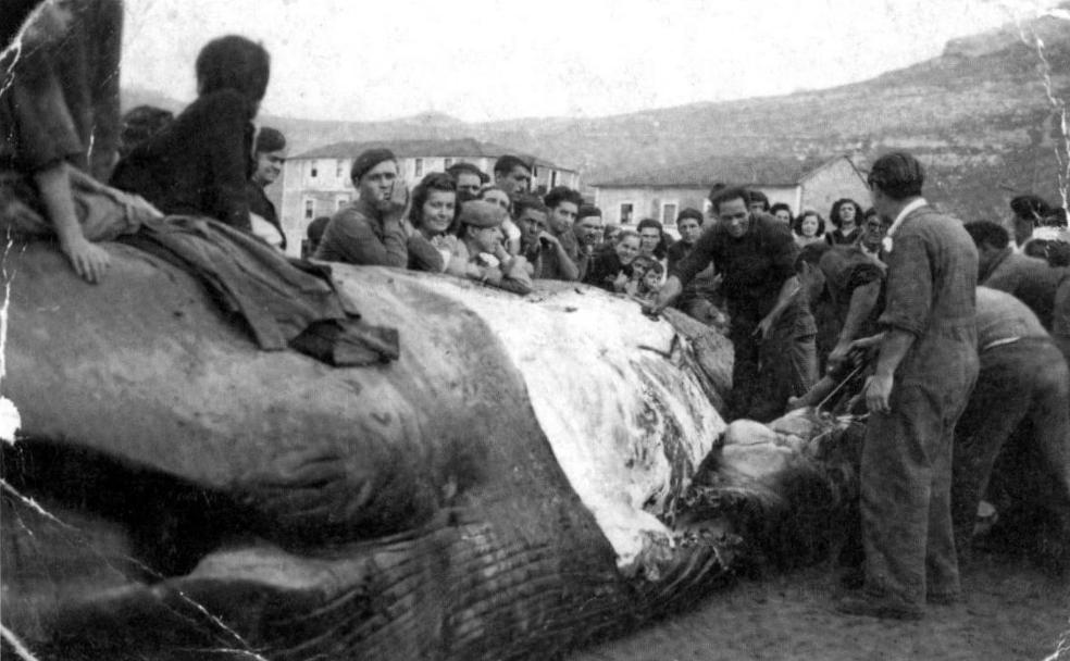 La ballena que Santoña nunca olvidará