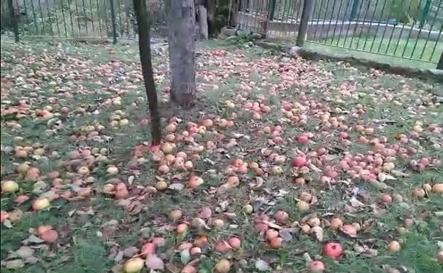 Cantabria entra esta tarde en alerta naranja por el viento