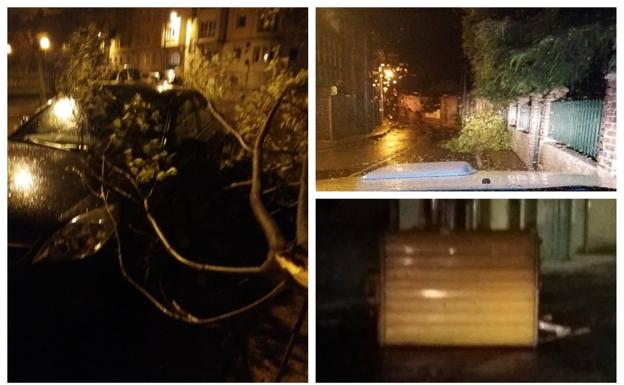 El vendaval nocturno deja ramas desplomadas y desperfectos en mobiliario urbano en distintas zonas de Cantabria