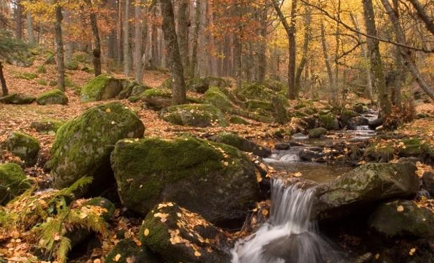 Valle del Lozoya, entre las últimas hojas y las primeras nieves