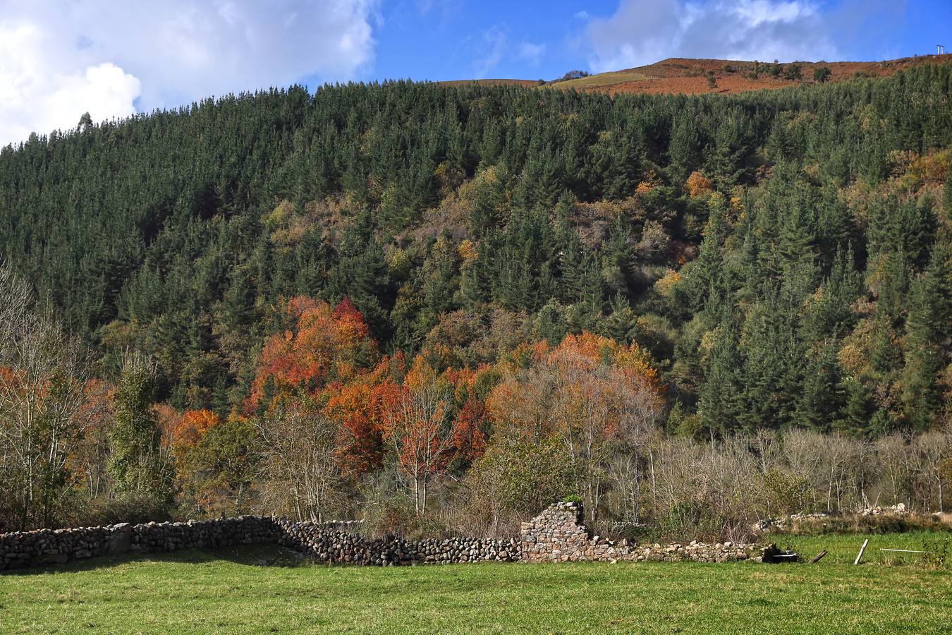El otoño transforma los paisajes de Cantabria