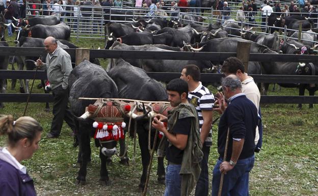 Treceño vive la Feria de San Martín