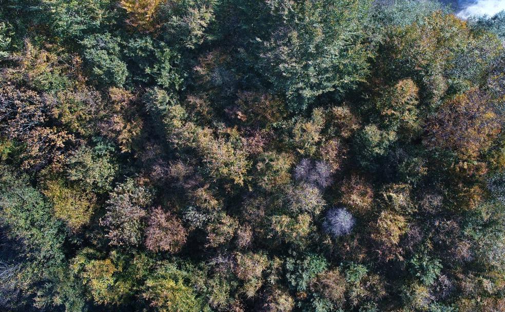 El otoño enciende el paisaje