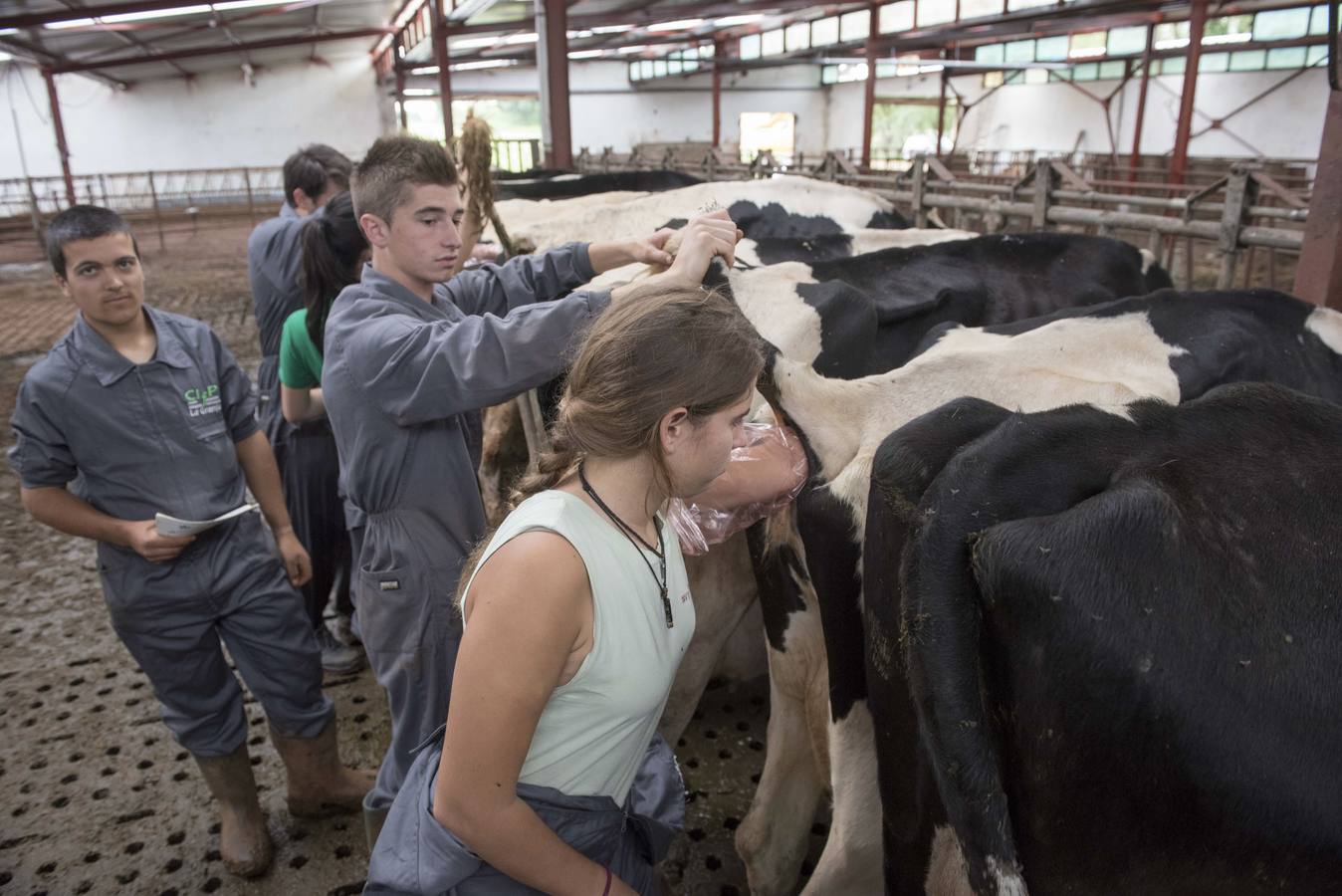 Más de alumnos 3.000 están inscritos para participar en la III Semana Europea de la FP