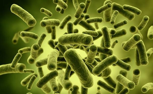 Tres asociaciones científicas se unen para luchar contra las bacterias ultrarresistentes