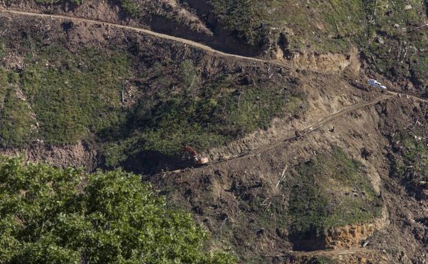 Arca acusa a Montes de «desidia» en la conservación del territorio tras la tala de árboles en Luena