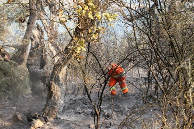 La falta de medios y de peones forestales «pone en riesgo» los montes de Liébana