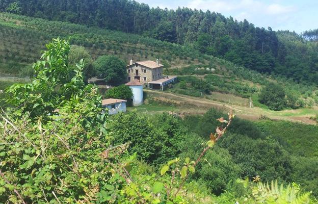 Nace una nueva sidra artesana en Cantabria