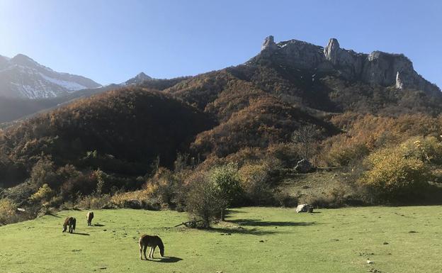 El paso a paso de la Trotabúhos