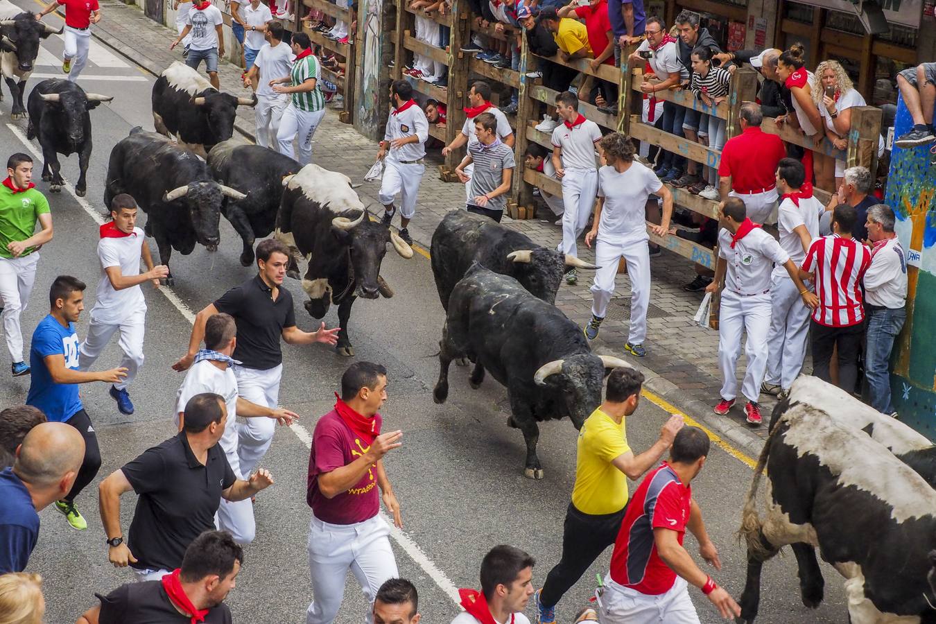 Varapalo para los encierros de Ampuero