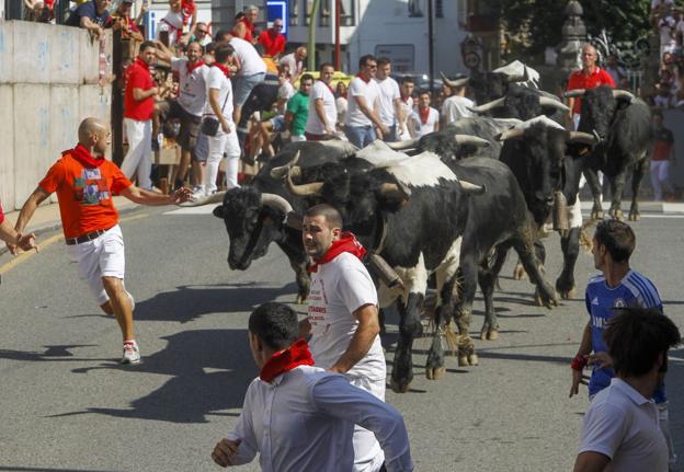 Turismo pide a Ampuero que confirme que no hay maltrato animal en sus encerronas