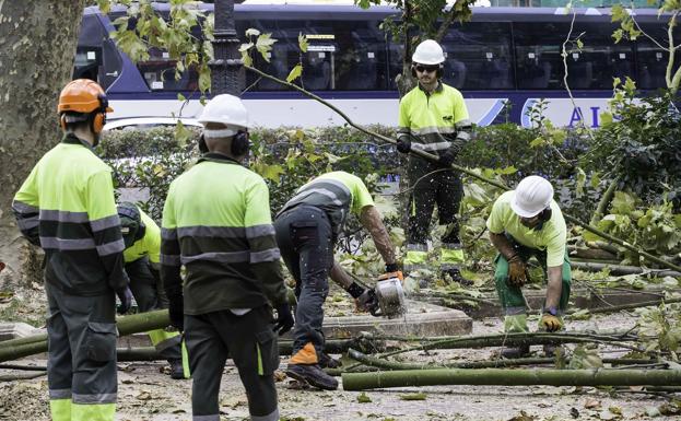 ACS recupera el supercontrato de los parques y jardines de Santander