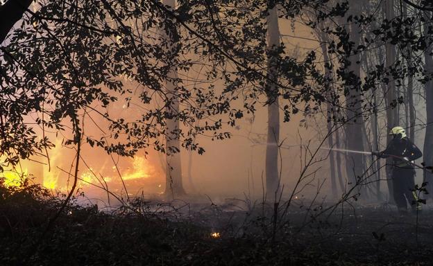 Un incendio en un eucaliptal amenaza una vivienda en Pontejos