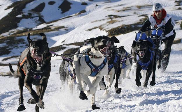 El Campeonato de España de Mushing Sprint por tierra reunirá a 300 deportistas en Vaderredible