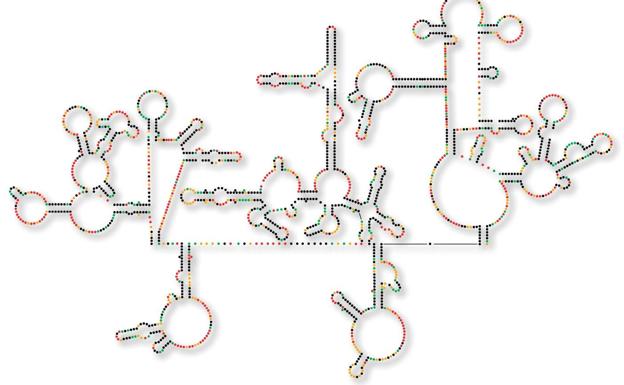 'Hablemos de salud' cierra el ciclo de otoño con una charla sobre el VIH