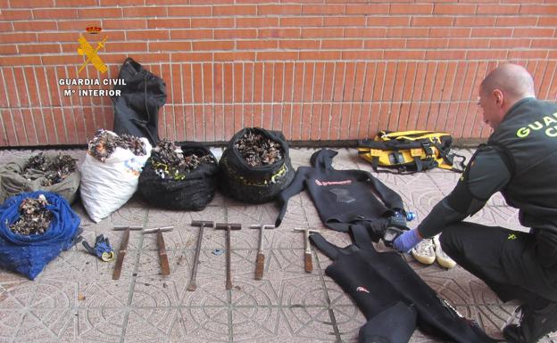 Decomisan 83 kilos de percebes a un furtivo multirreincidente