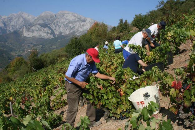 Liébana abre su proceso informativo para su candidatura a Reserva de la Biosfera