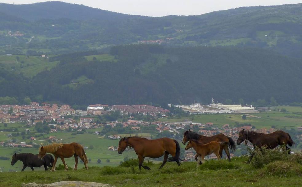 Por la sierra de Cos