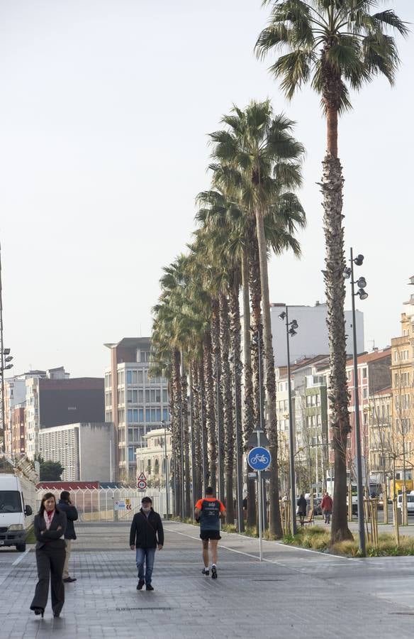 Abierta la remodelación del entorno de la Estación Marítima