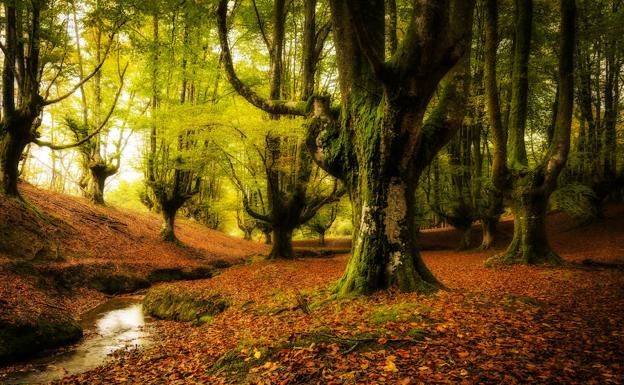 11 lugares desconocidos de España para descubrir este puente