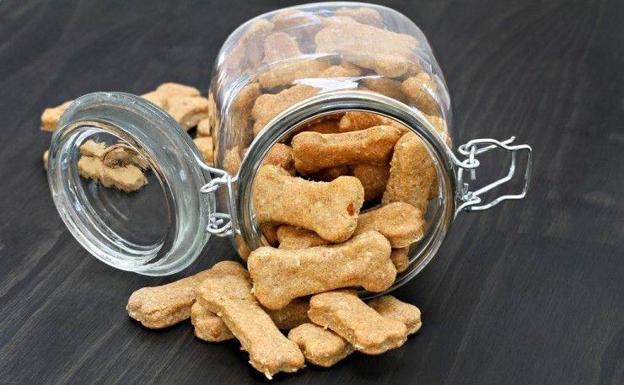 Aprende a cocinar galletas caseras para perros