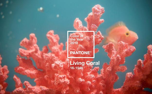 ¿Qué color del oceáno será el del 2019?