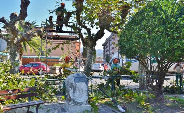 Los Corrales deja en manos de la empresa Idinat el mantenimiento de zonas verdes y jardines