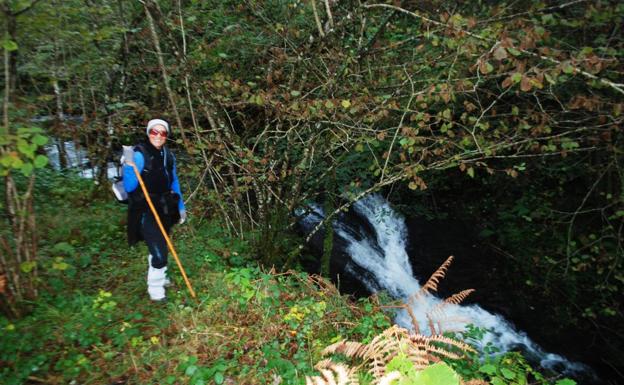 Ruta por las espectaculares cascadas de Viaña y alrededores