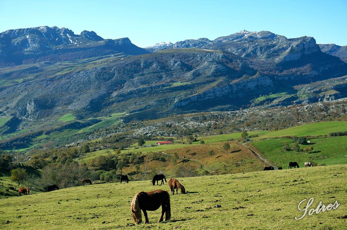 Paseo otoñal por el Hoyo Masallo