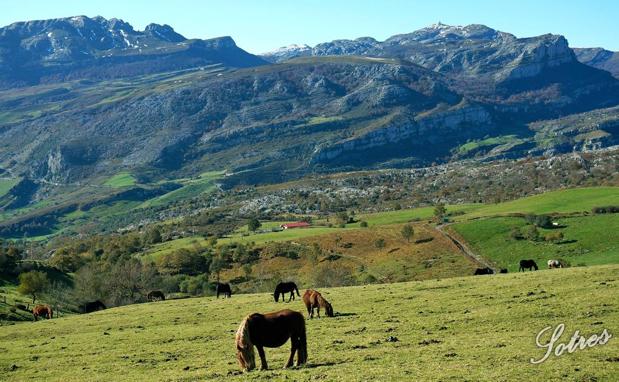 Paseo otoñal por el Hoyo Masallo