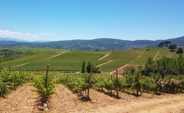 La provincia de la biosfera: Babia, Valle de Laciana y Ancares Leoneses