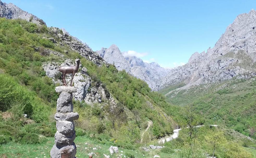 La provincia de la biosfera: Picos de Europa