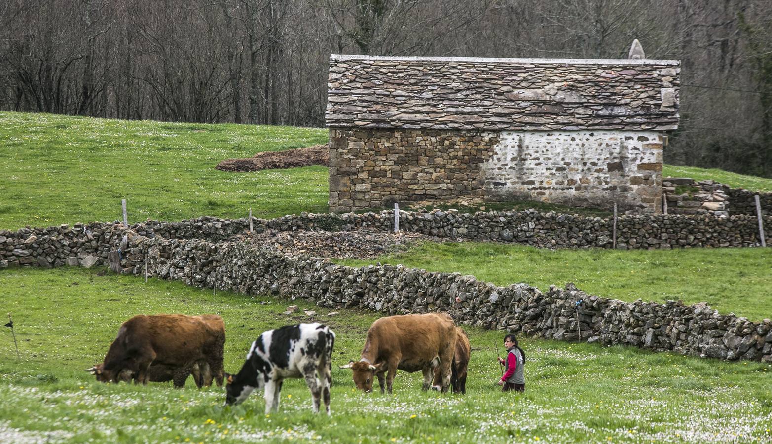 San Pedro del Romeral también rechaza formar parte de la Reserva de la Biosfera pasiega